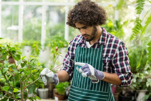 Accepted payment methods for Tree Surgeons Chiswick including card and PayPal options