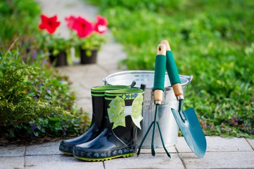 Experienced tree surgeon providing careful maintenance for a Chiswick tree