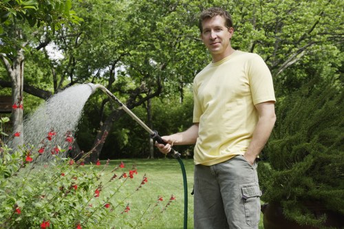 Visual tree condition check for a garden tree in Chiswick