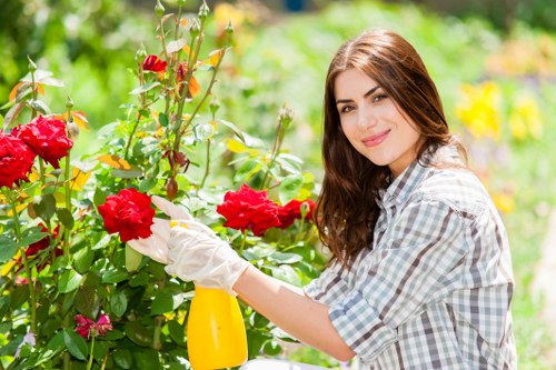 Liability and insurance terms for arboricultural services