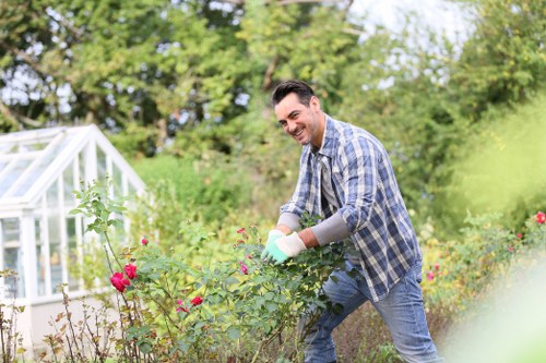 Professional arborist preparing a tree removal in Chiswick