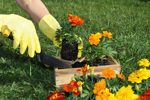 Booking and quotation process for tree surgery services