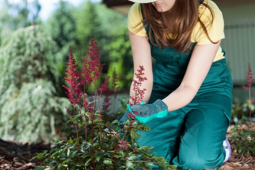 Local transfer station handling arboricultural waste for reuse